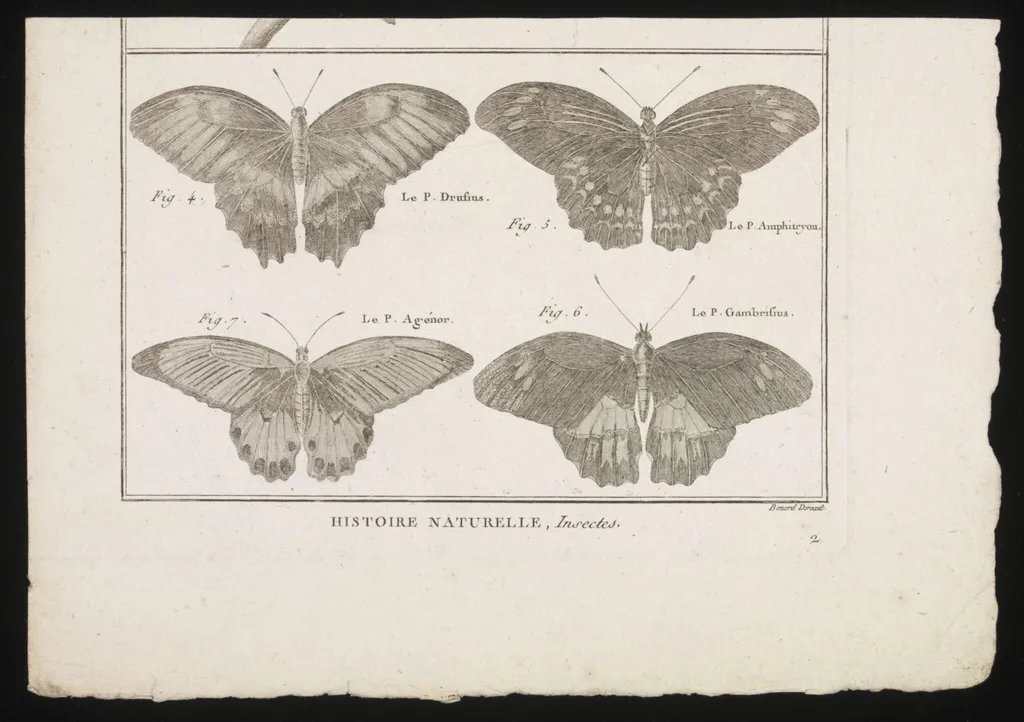Untitled, by Charles-Joseph Panckoucke, 1784