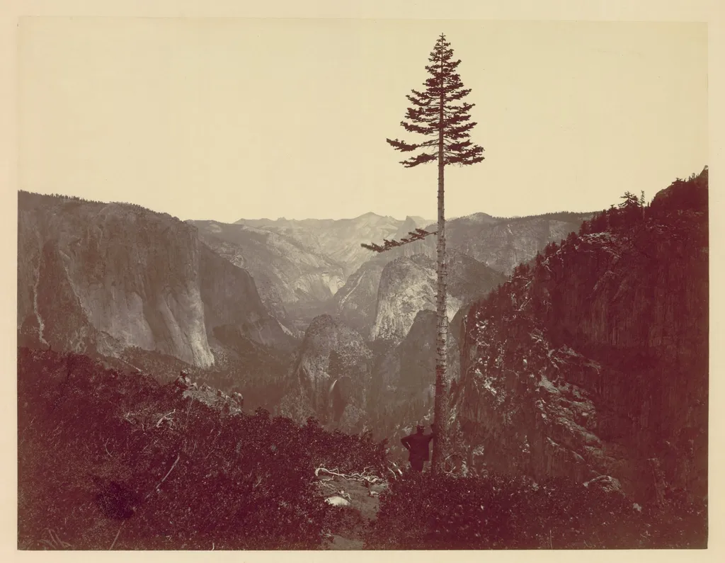 Yosemite Valley from Mariposa Trail, by Charles Leander Weed, 1865