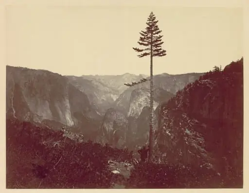 Yosemite Valley from Mariposa Trail, by Charles Leander Weed
