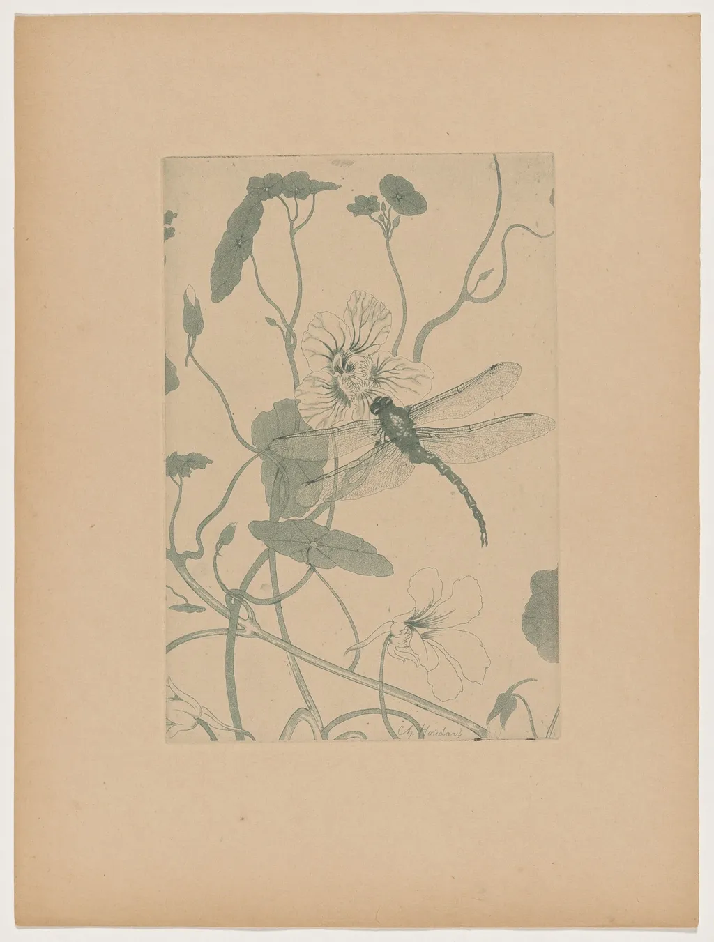 Fleurs (Flowers), by Charles-Louis-M. Houdard, ink, 1895