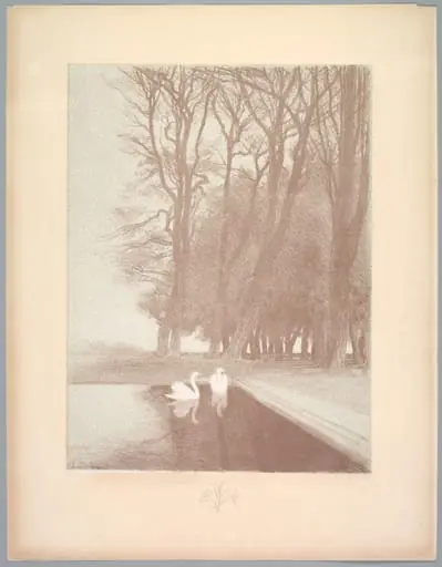 Suite de Paysages: Landscape, Plate 6, Remarque, Lilies, by Charles-Marie Dulac