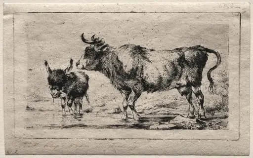 Cow and Ass, by Charles Meryon