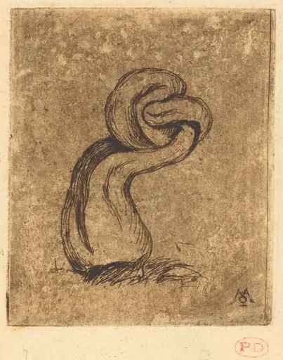 Le malingre cryptogame (The Sickly Cryptogam), by Charles Meryon