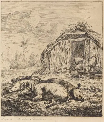 Les trois cochons couchés devant l'étable (Three Swine Lying In Front of a Sty), by Charles Meryon