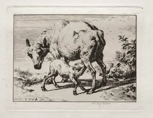 The Ewe with Two Lambs, by Charles Meryon