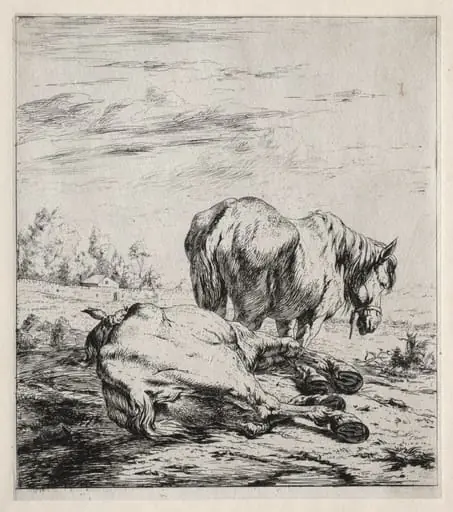 The Two Horses, by Charles Meryon