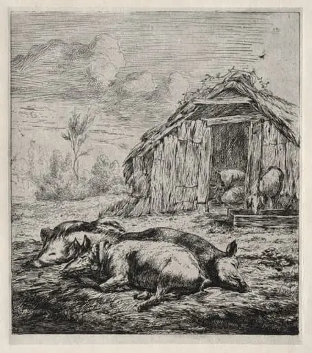 Three Swine Lying in Front of a Sty, by Charles Meryon