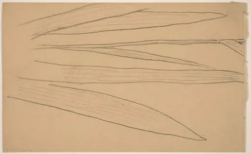 Study of a Flower [verso], by Charles Sprague Pearce