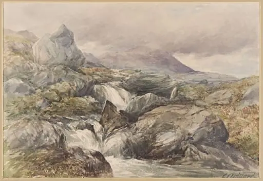 Torrent near Moel Siabod, by Charles Stuart Millard