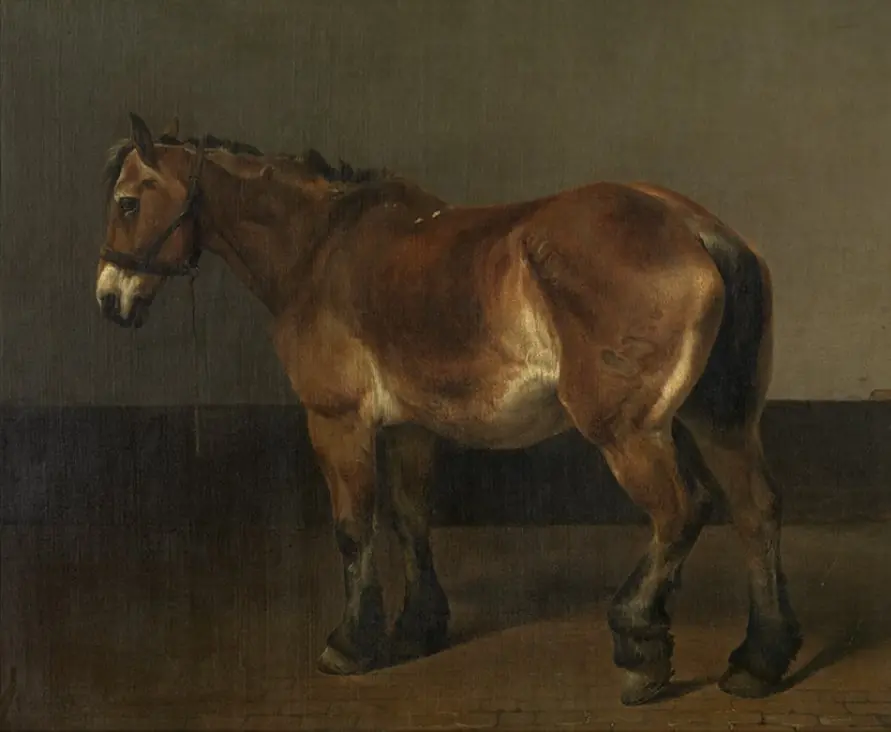 Trekpaard, by Charles Tschaggeny