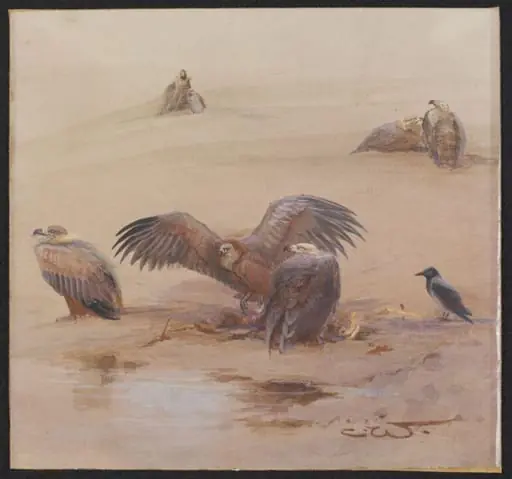 Griffon Vultures with an Egyptian Crow, by Charles Whymper