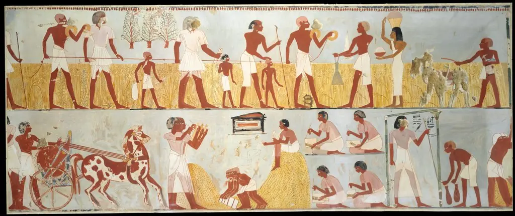 Harvest Scenes, Tomb of Menna
