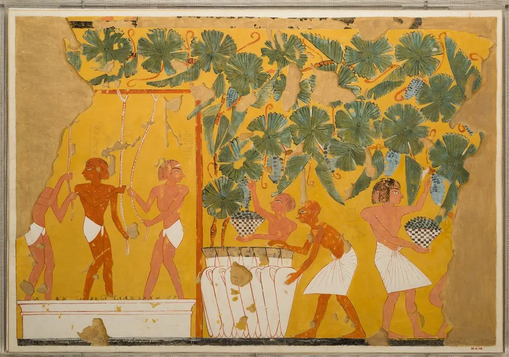 Winemaking, Tomb of Ipuy, by Charles Wilkinson