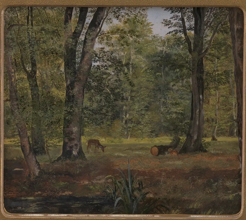 Charlottenlund Wood, North of Copenhagen