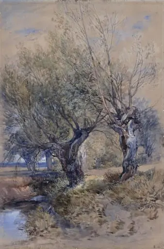 Pollards in Windsor Meadows, by Chester (Charles) Harding