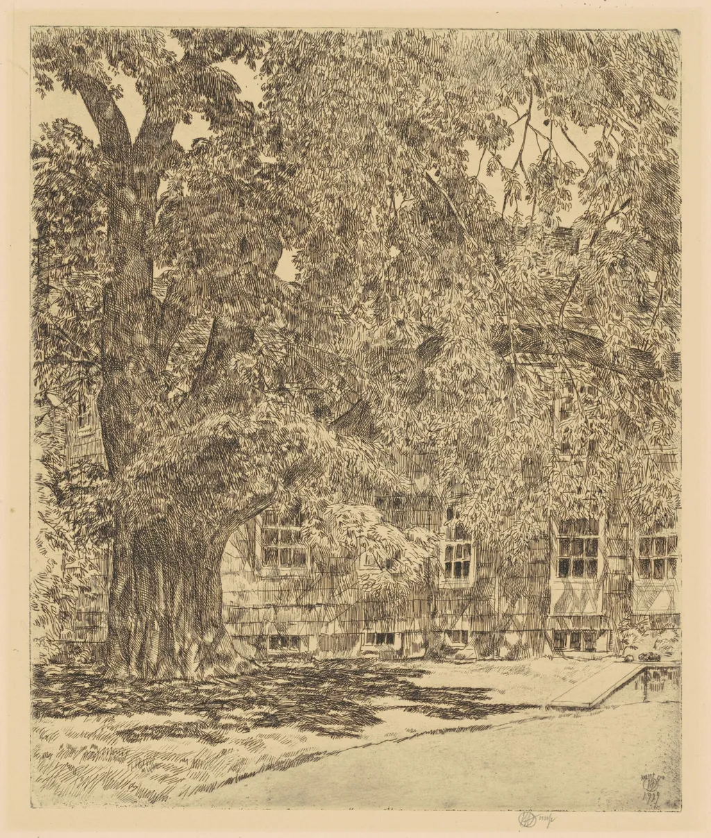 Giant Elm, Easthampton, by Childe Hassam, ink, 1929