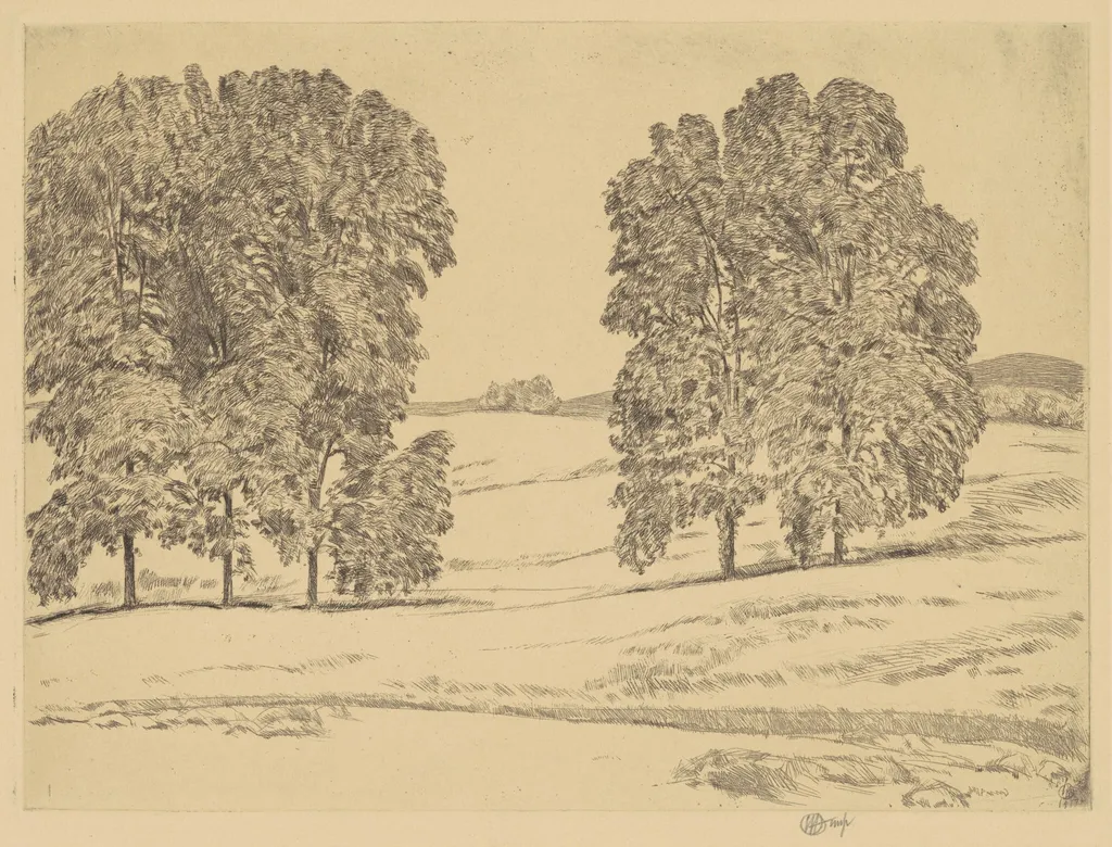 Hickories in a Hayfield, by Childe Hassam, ink, 1917