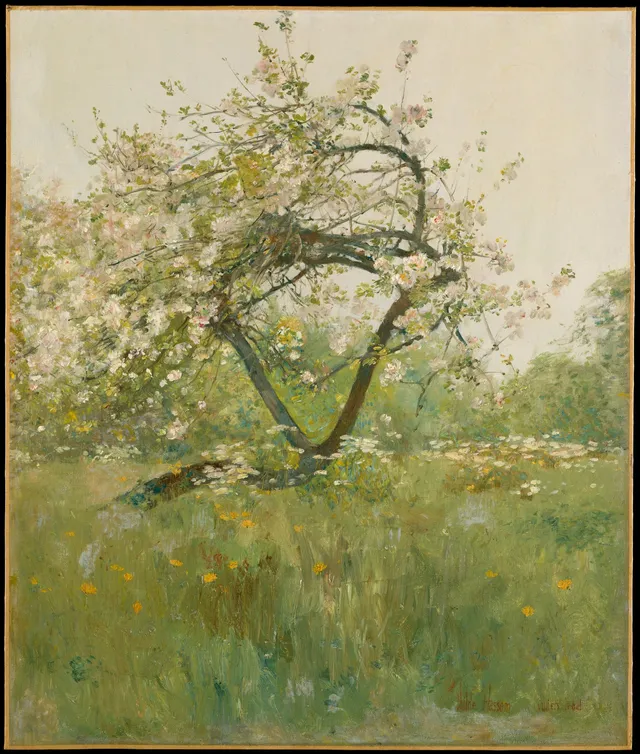Peach Blossoms—Villiers-le-Bel