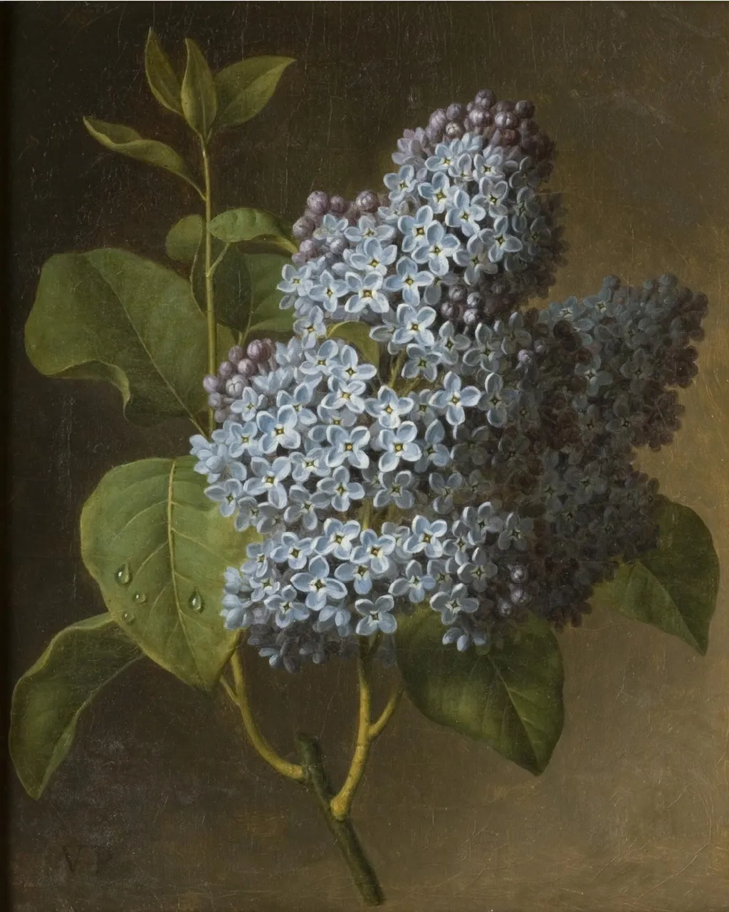 Lilac Blossoms, by Christiaan van Pol, oil, 1800