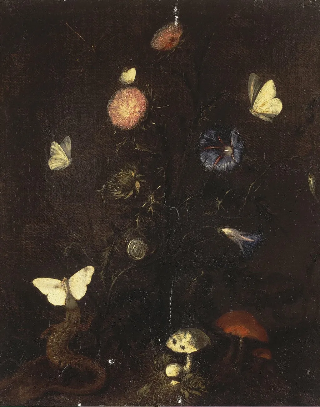 Flowers, Lizard and Butterflies, by Christiaen Striep, oil, 1660
