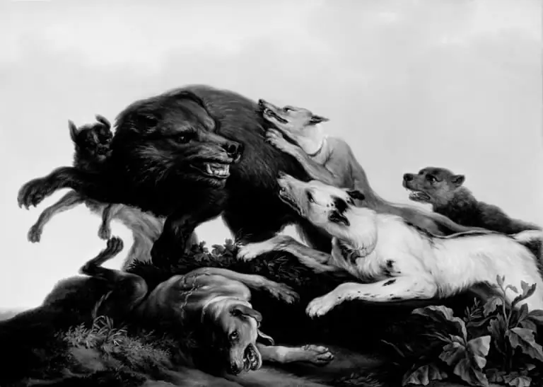 Bjørnejagt, by Christian David Gebauer