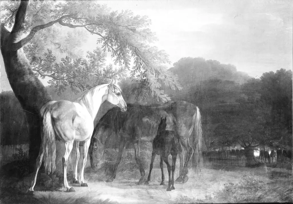 Heste i skovegn, by Christian David Gebauer