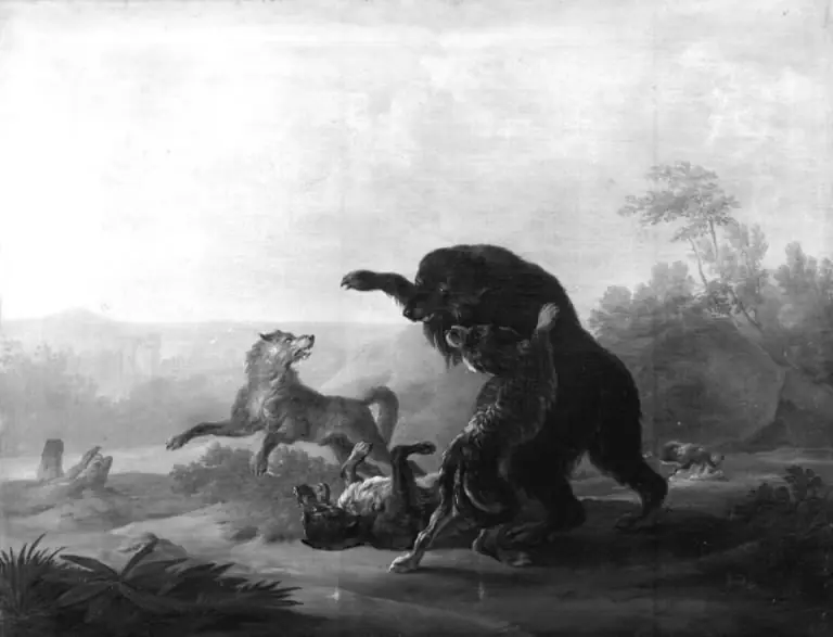 Kamp mellem en bjørn og nogle ulve, by Christian David Gebauer