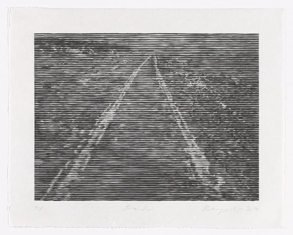 Untitled, by Christiane Baumgartner, ink, 2015