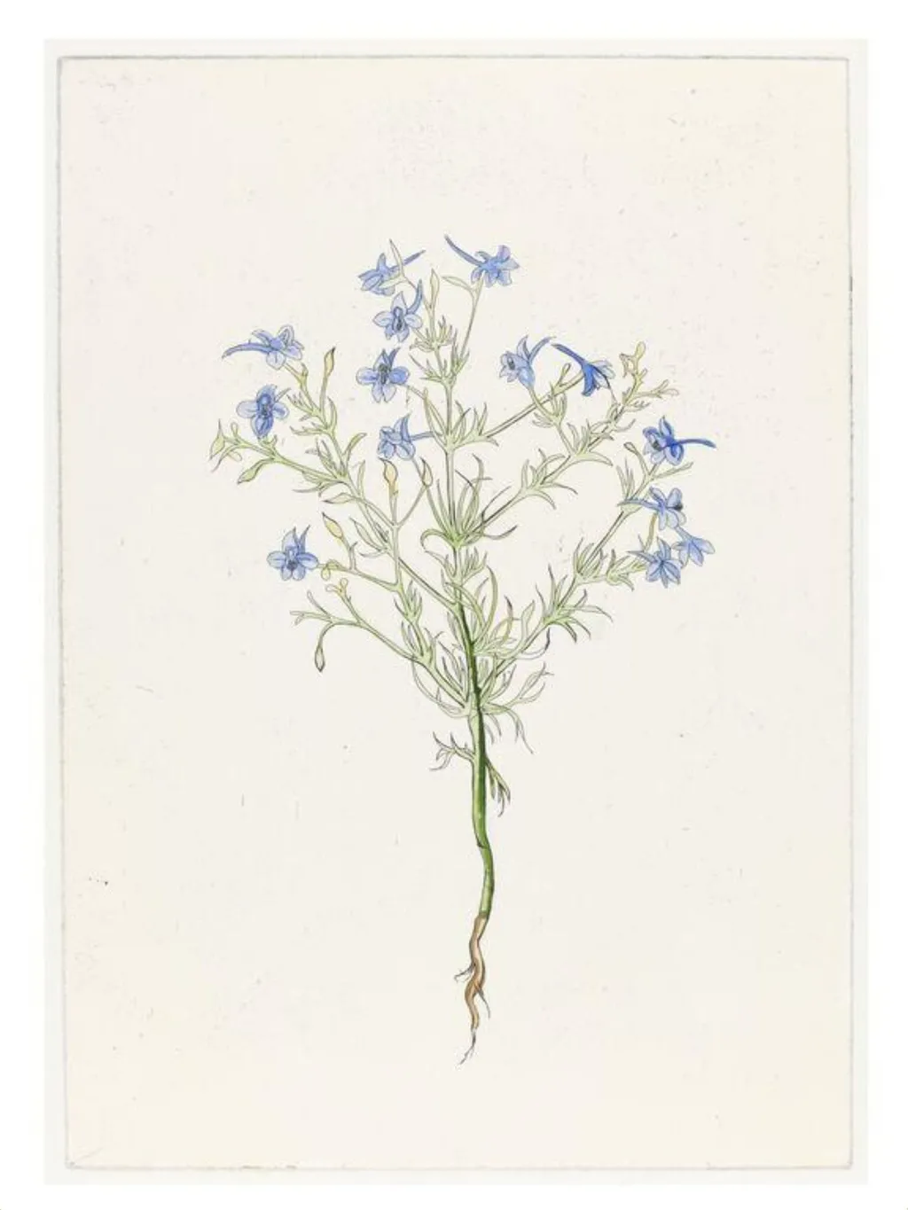 The History of Plants, according to women, children and students, by Christine Borland, 2002