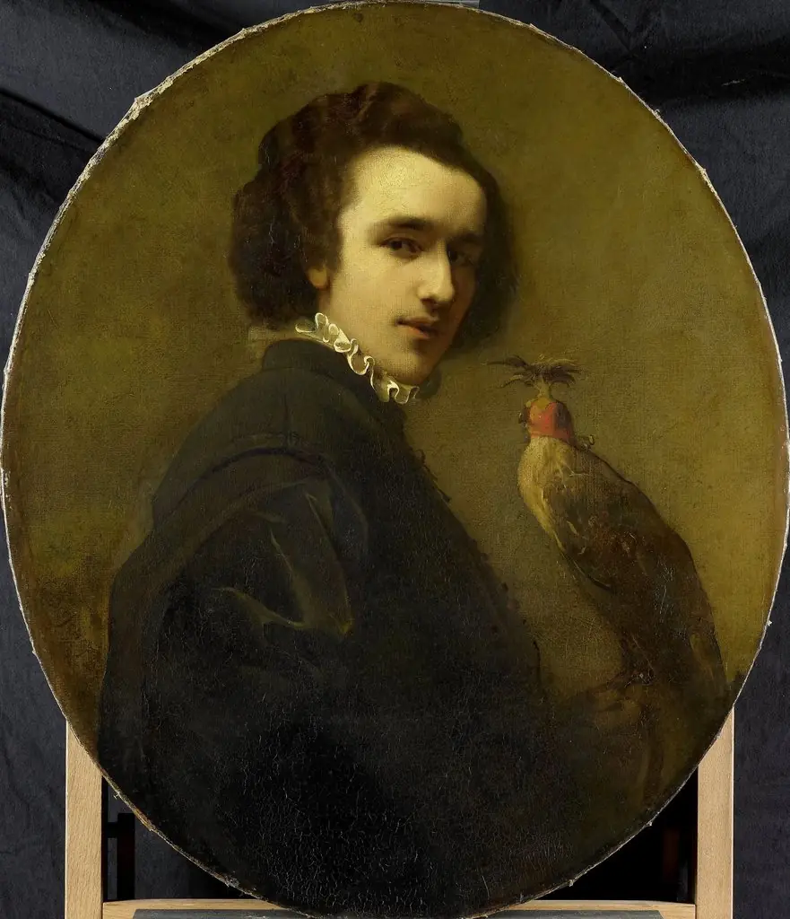 The Falconer, by Christoffel Bisschop
