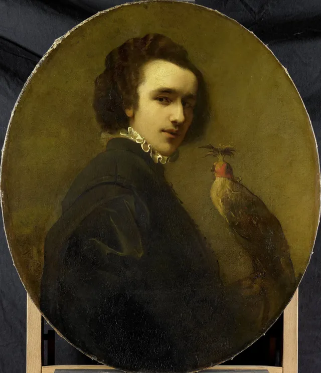 The Falconer
