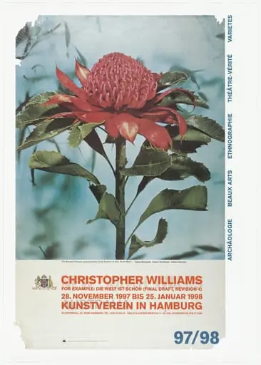 Untitled, by Christopher Williams