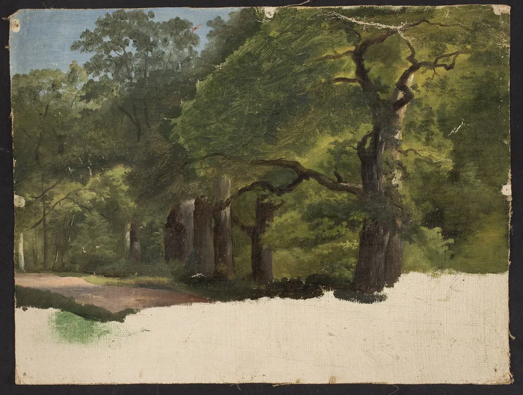 Forest landscape, sketch, by Chrystian Breslauer, oil, 1852