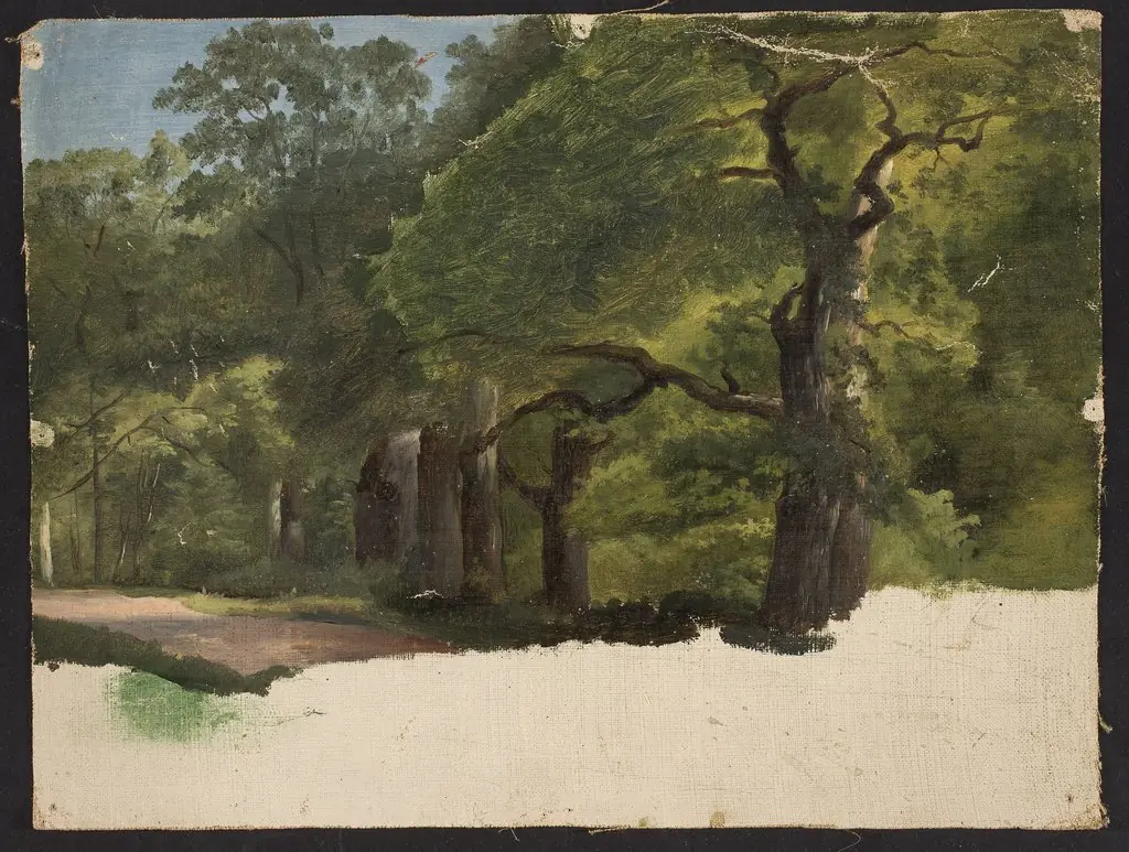 Forest landscape, sketch, by Chrystian Breslauer