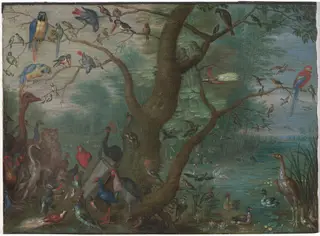 Concert of Birds, by Circle of Jan van Kessel the Elder