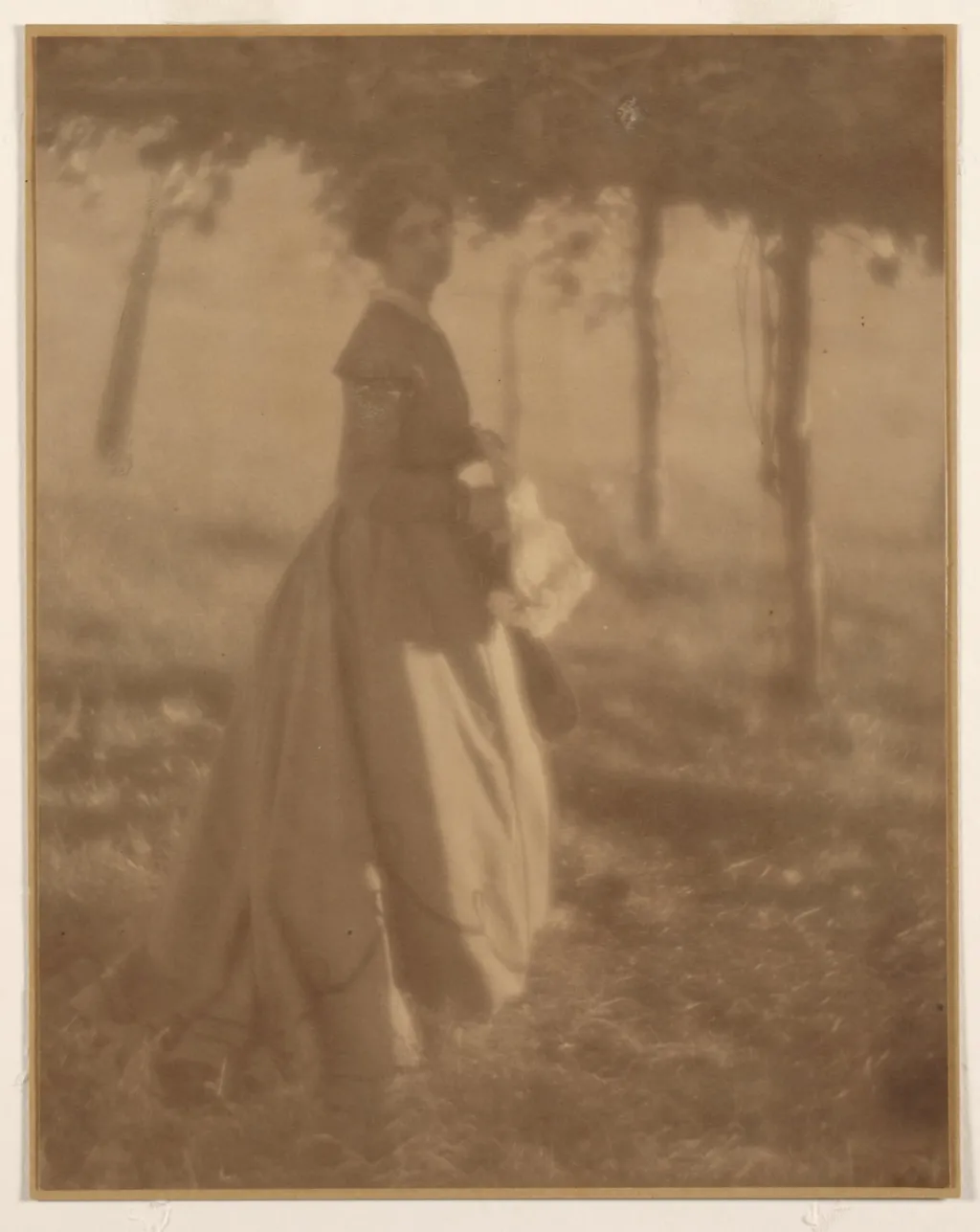 In the Arbor, by Clarence H. White, 1906
