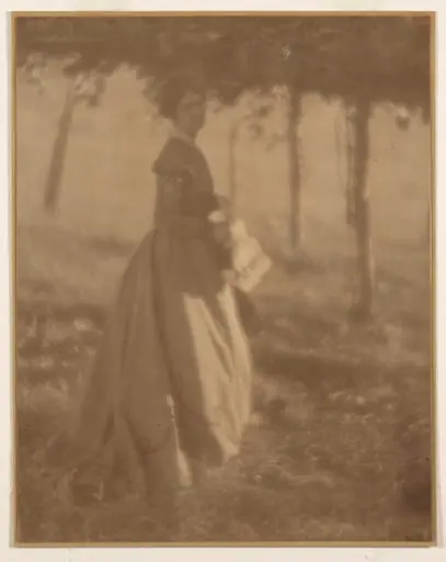 In the Arbor, by Clarence H. White