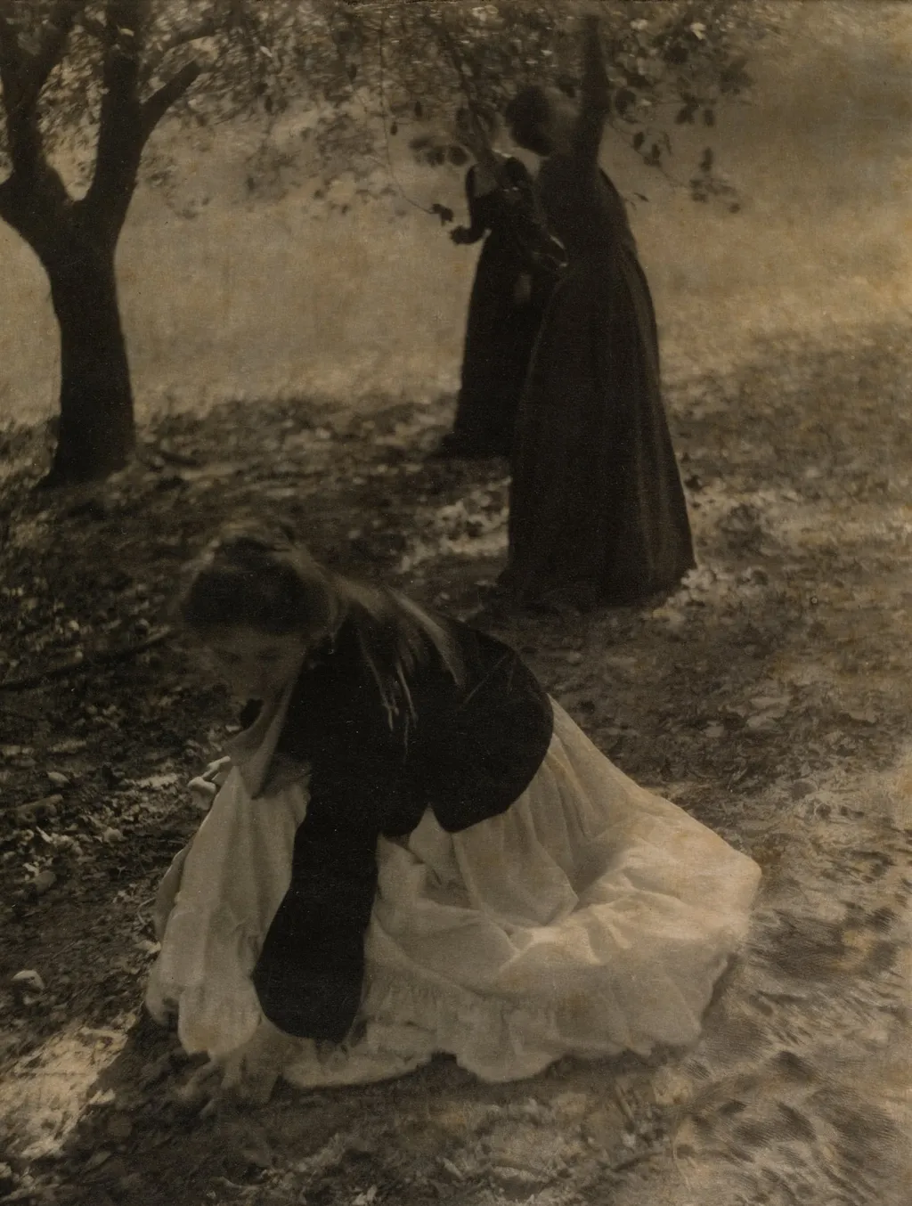The Orchard, by Clarence H. White, 1902