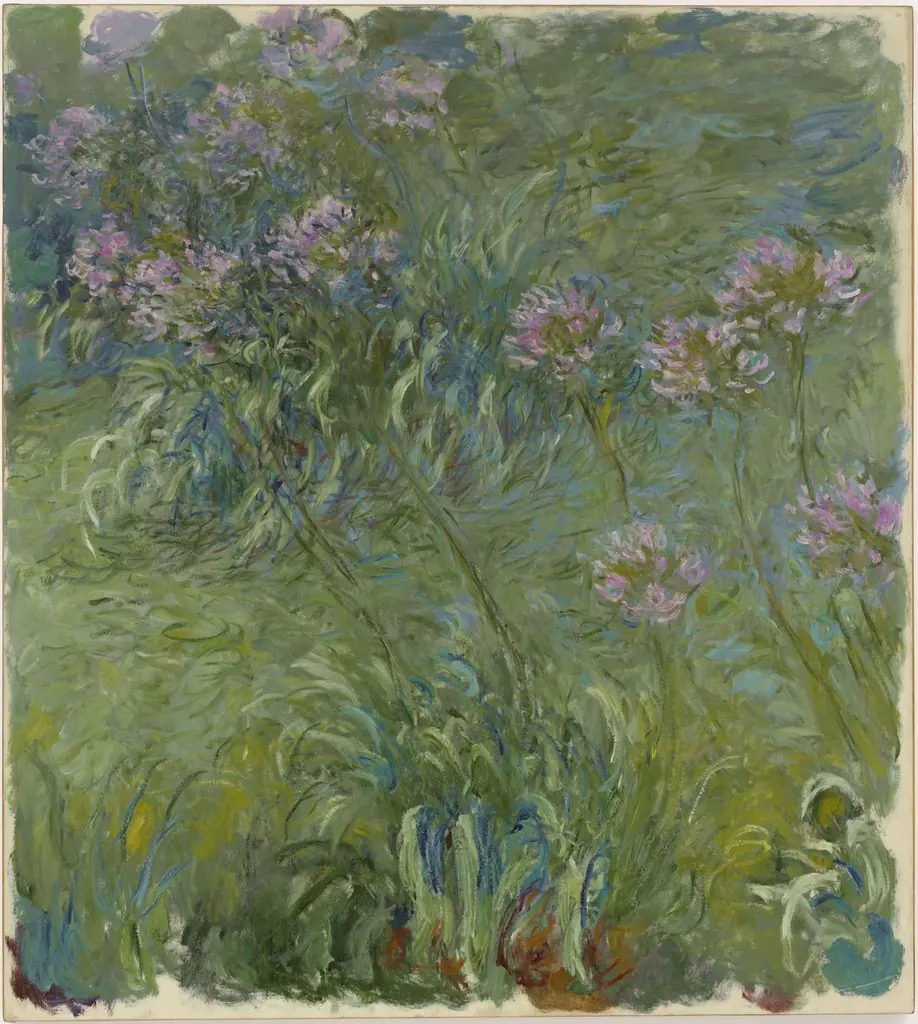 Agapanthus, by Claude Monet