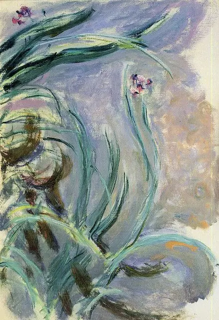 Iris, by Claude Monet