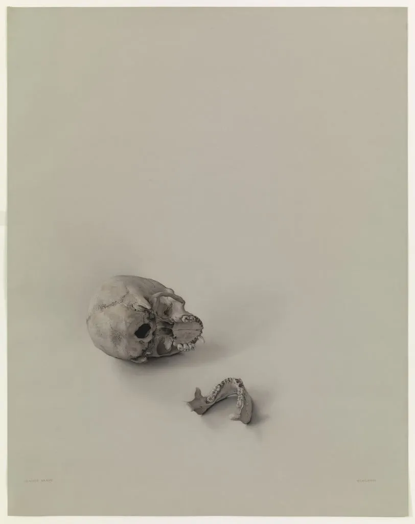 Untitled, by Claudio Bravo, crayon, 1973
