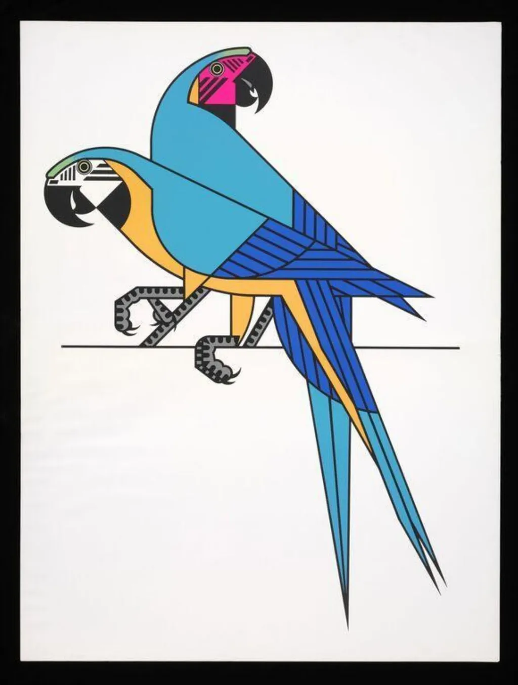 Parrots, by Clifford Richards, 1964