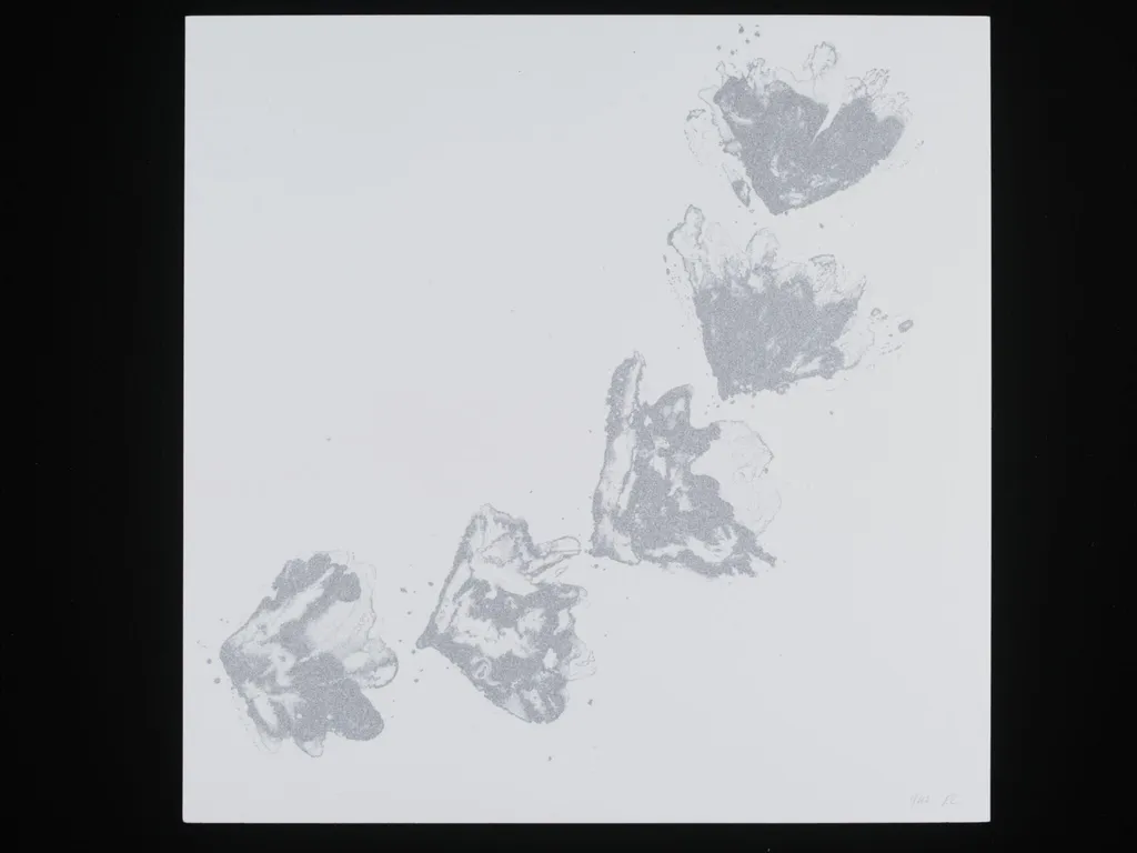Reticulation, by Collini, 2013