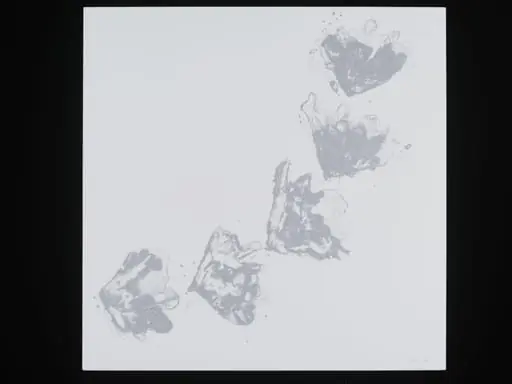 Reticulation, by Collini