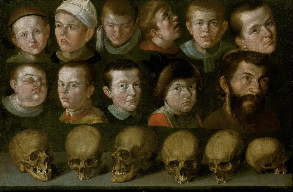 Elf Kopfstudien und sechs Schädel, by Conrad Meyer