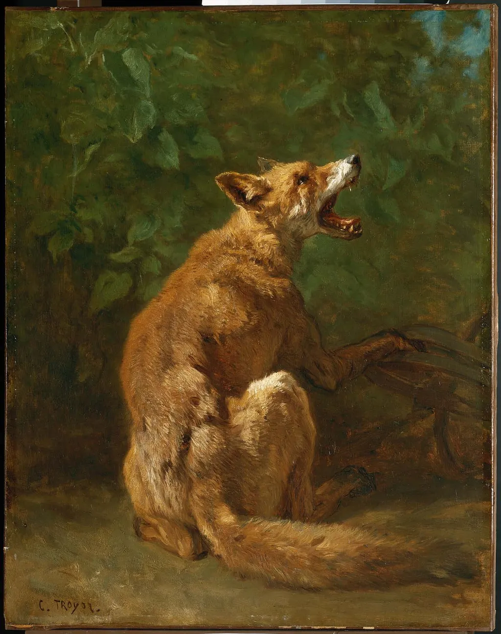 Fox in a Trap, by Constant Troyon, oil, 1860