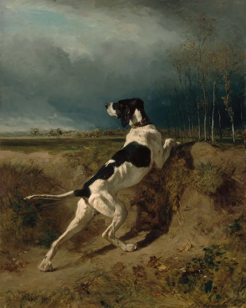 Hound Pointing, by Constant Troyon