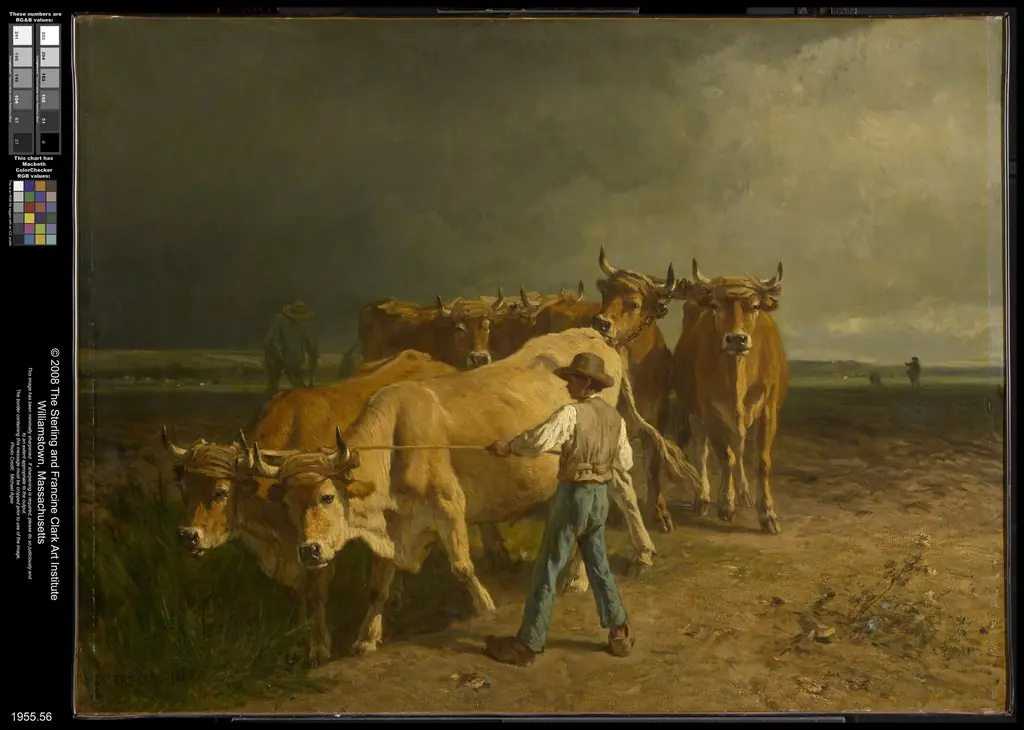 Oxen Plowing, by Constant Troyon