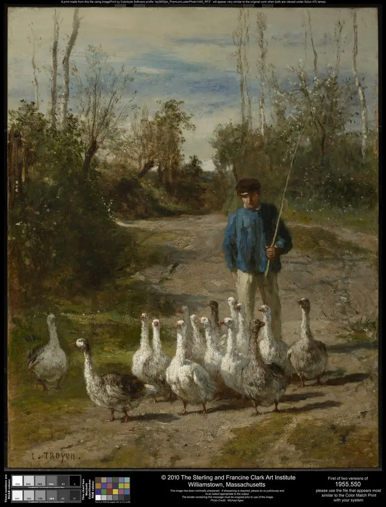 The Gooseherd, by Constant Troyon