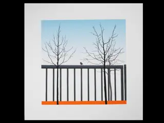 Untitled (Robin)